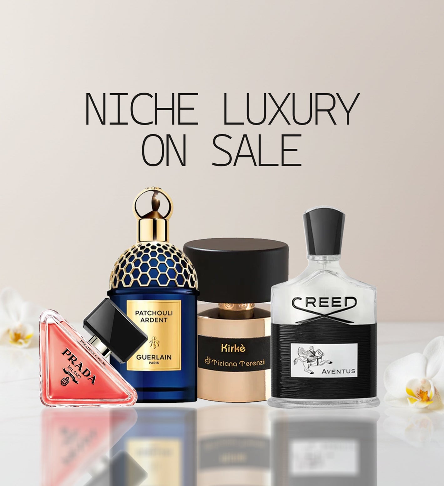 Niche Brand Super Sale Collections