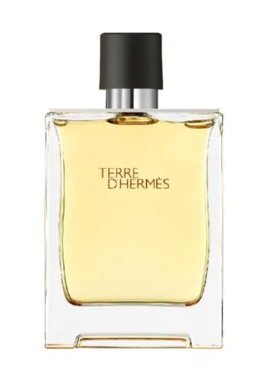 Hermes Terre D'Hermes Men EDT 200ML