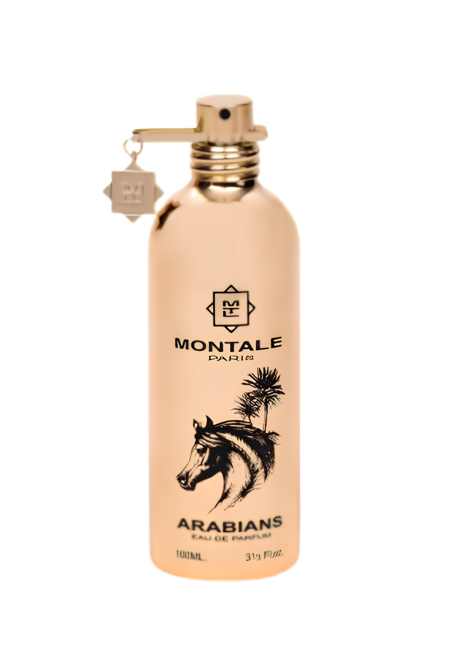 Montale Arabian Nights Unisex EDP 100ML