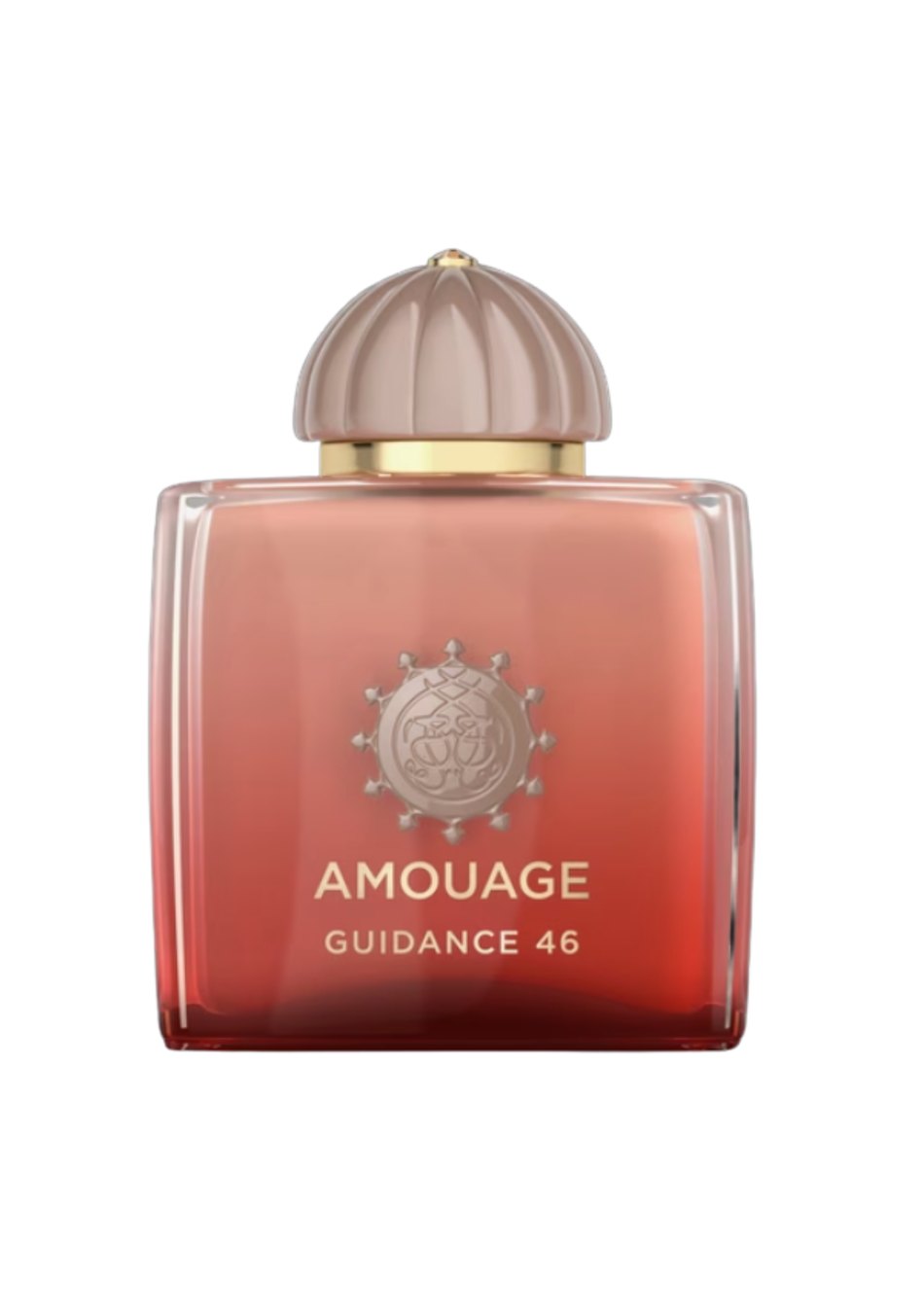 AMOUAGE GUIDANCE 46 (U) EXTRAIT DE PARFUM 100 ML