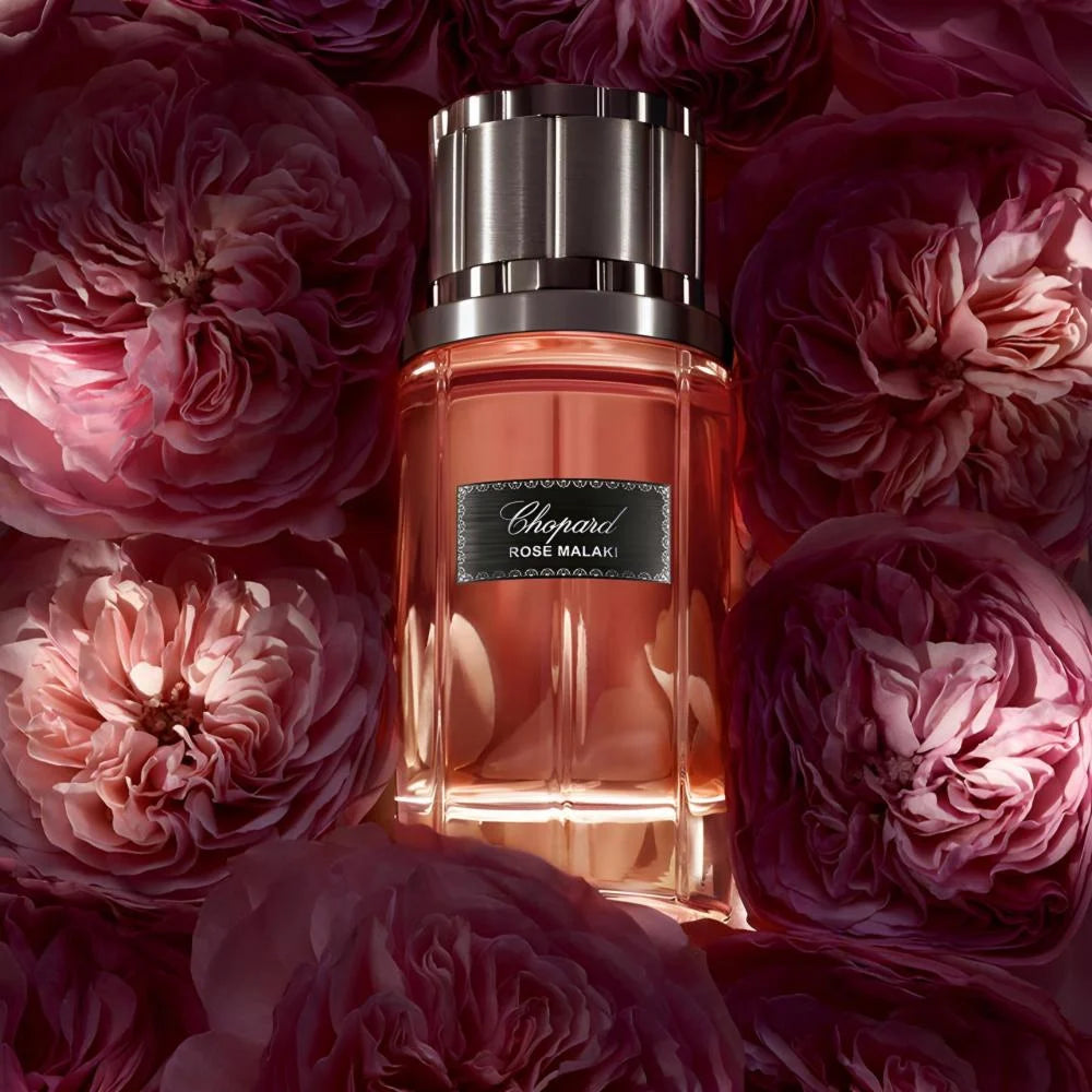 Chopard rose malaki deals