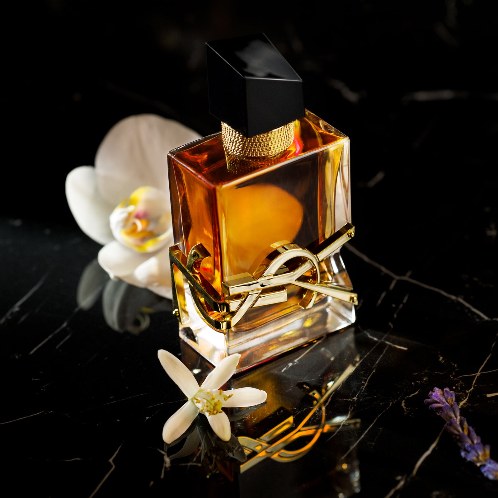 YSL Libre Intense Eau De Parfum for Women – Perfume Gallery