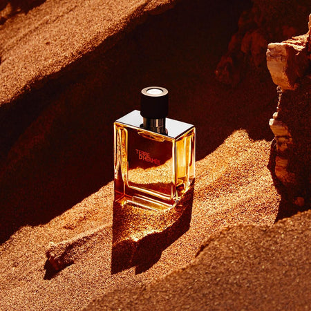 Terre D`Hermès Parfum for Men