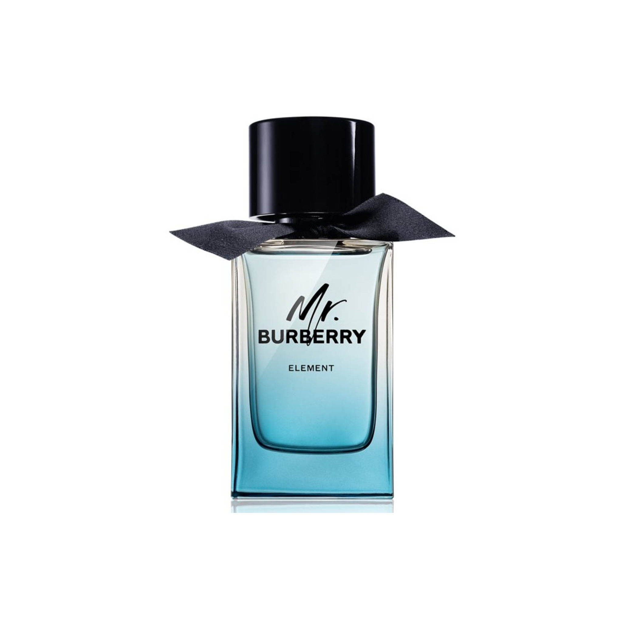 Burberry Mr. Burberry Element Eau De Toilette for Men