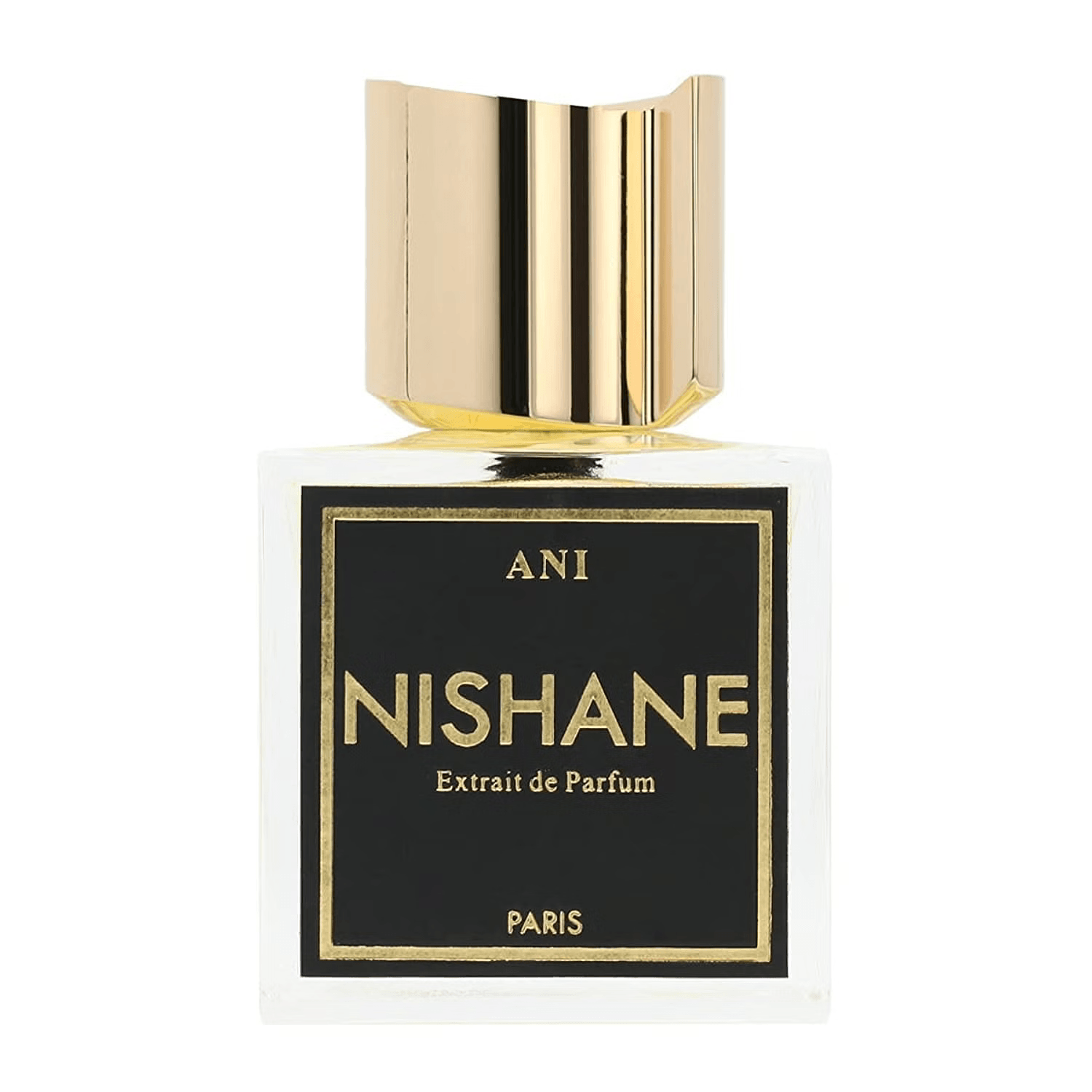 Nishane Ani  Extrait De Parfum
