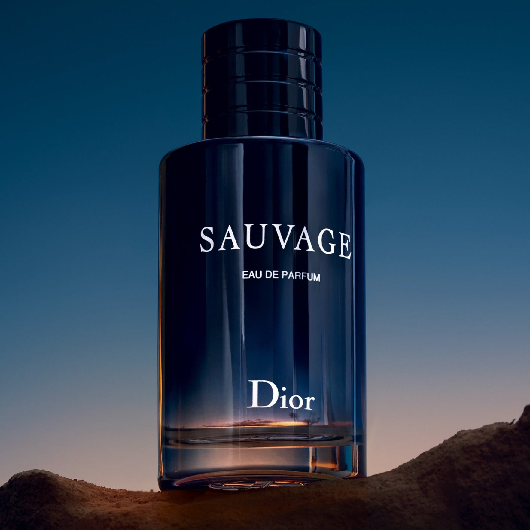 Sauvage fragrance outlet