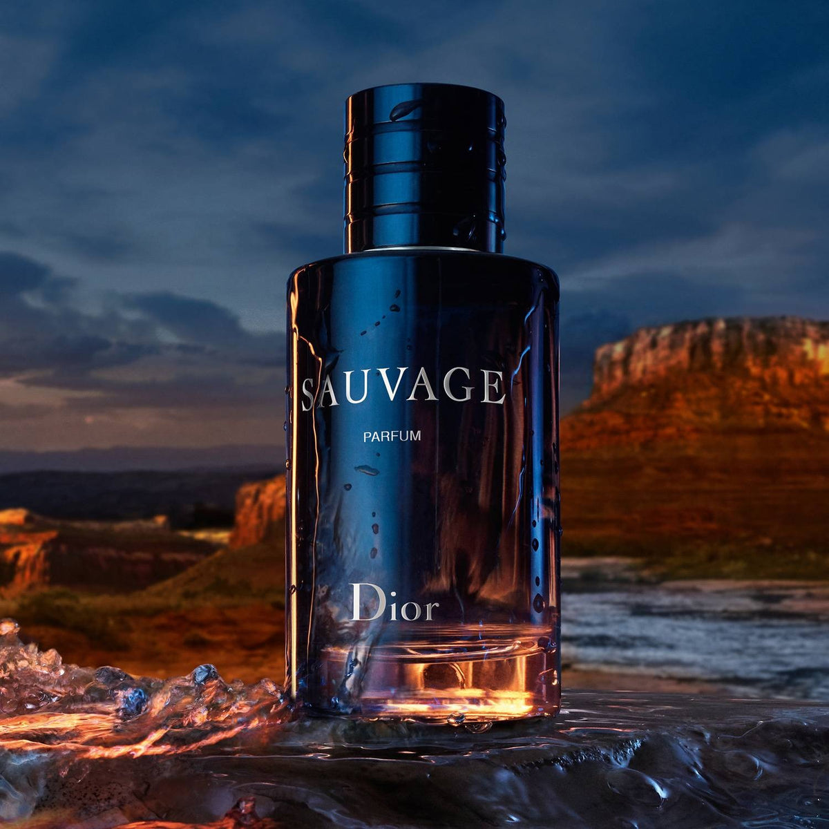 Dior Sauvage Parfum For Men – Perfume Gallery1