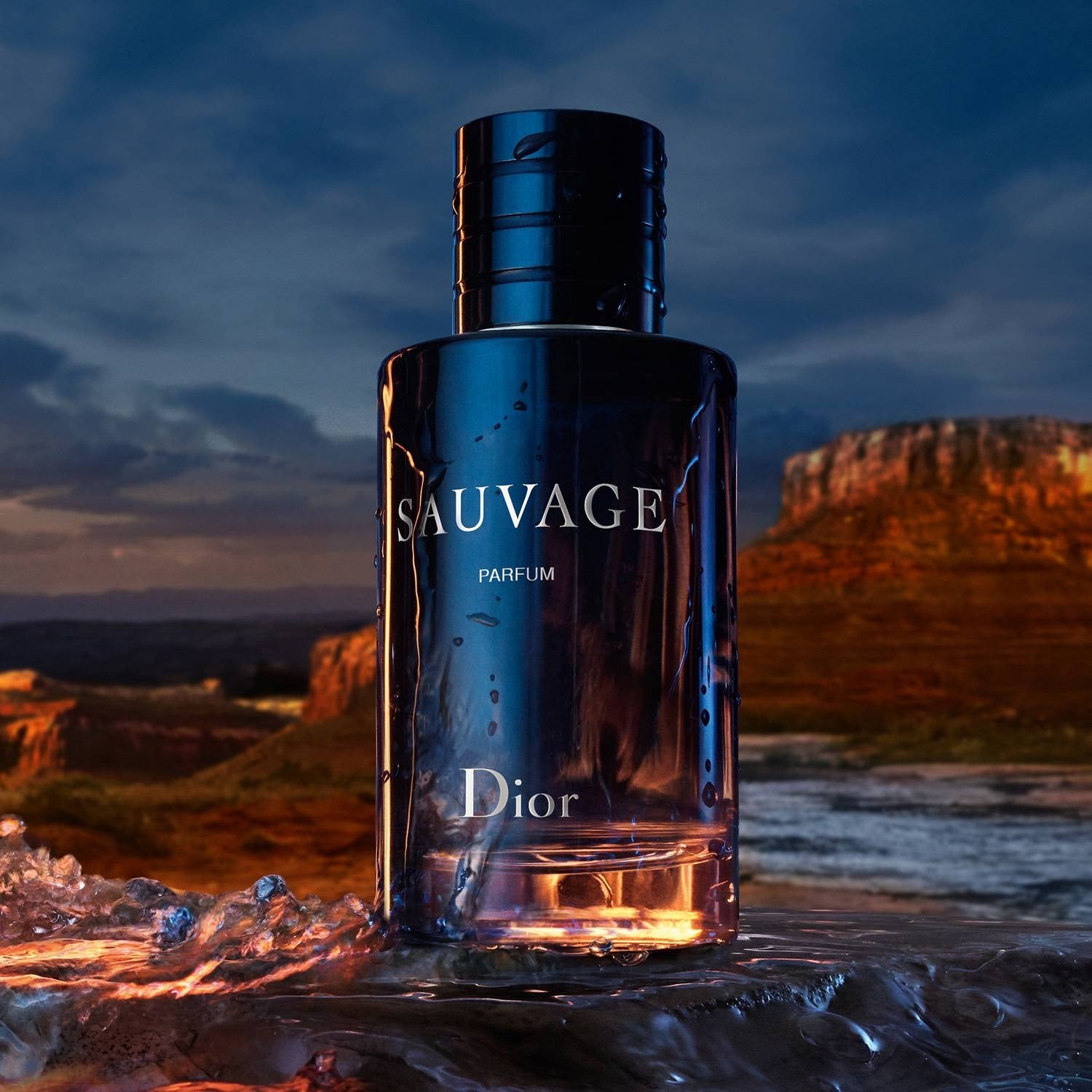 Dior Sauvage Parfum For Men – Perfume Gallery